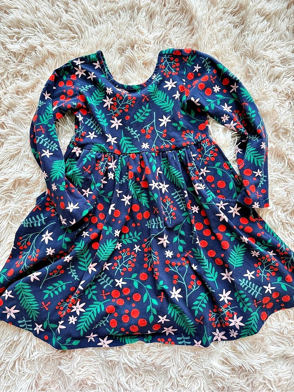 Hanna Andersson Long Sleeve Skater Dress Floral Blue & Red Girls US 5
